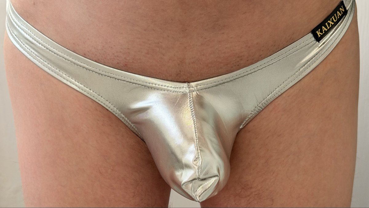 pauline feline tweet media