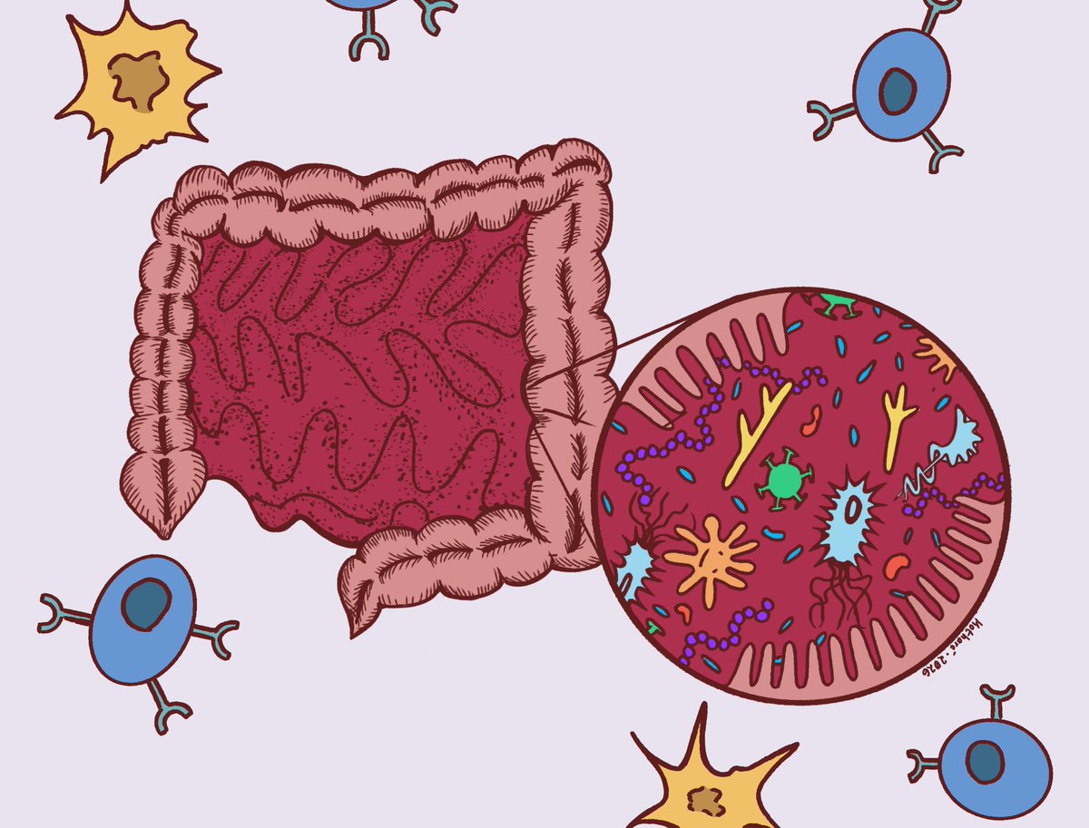 Pitt Department of Immunology tweet media