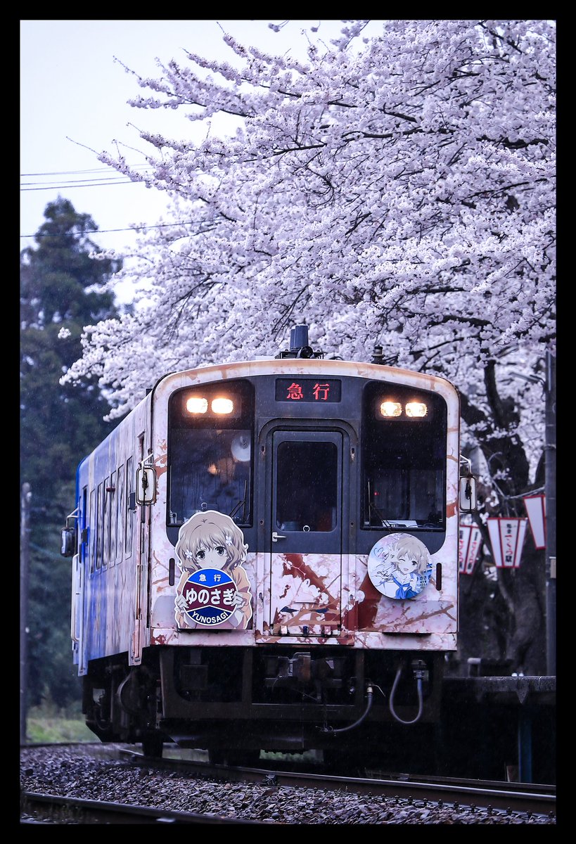 あーちゃん tweet media