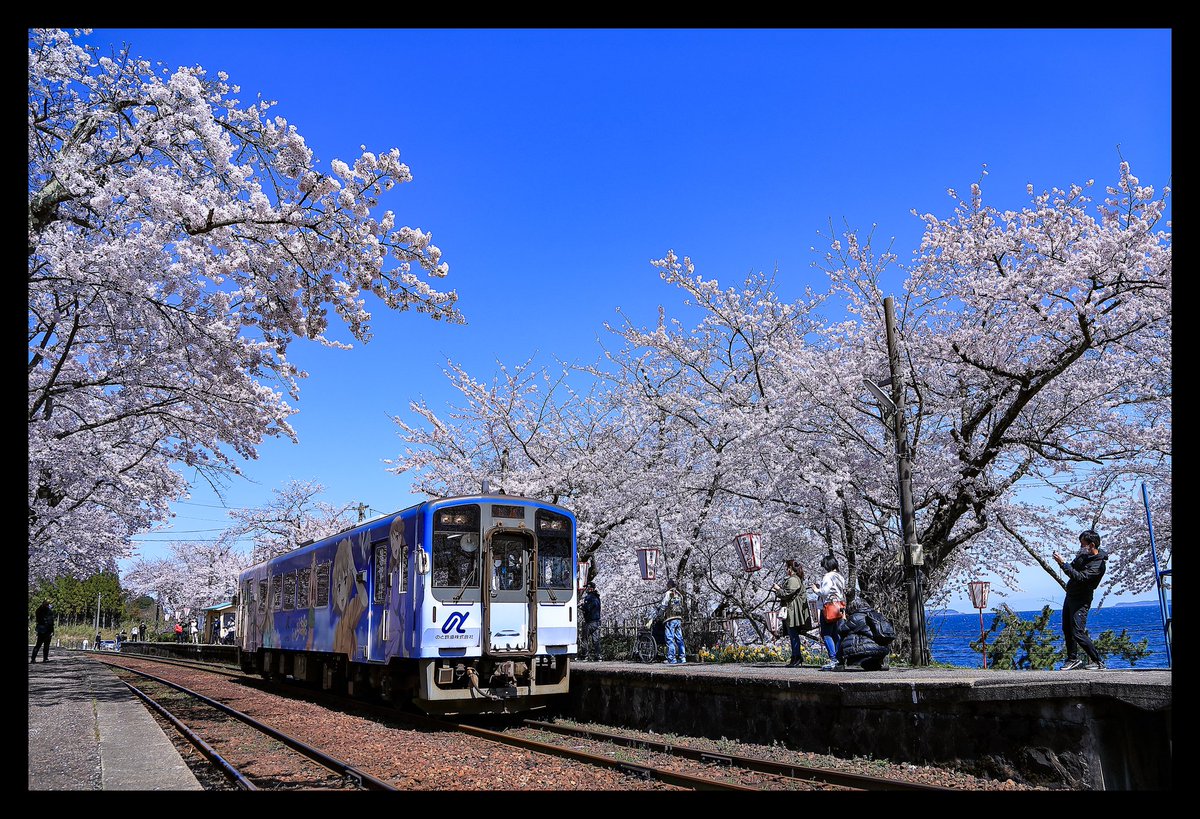 あーちゃん tweet media