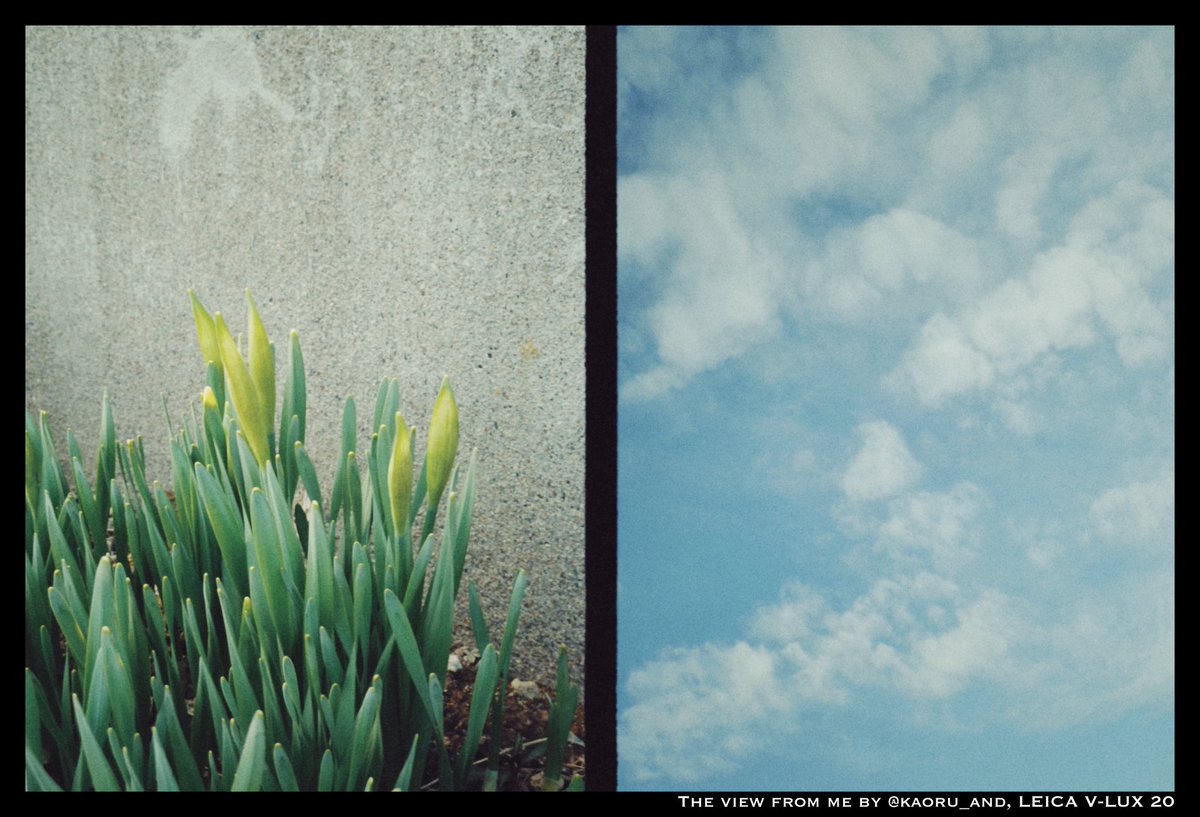 kaoru_and's tweet image. #LEICAEDC #dazz