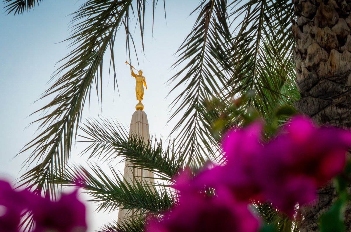 Robert Hill tweet media