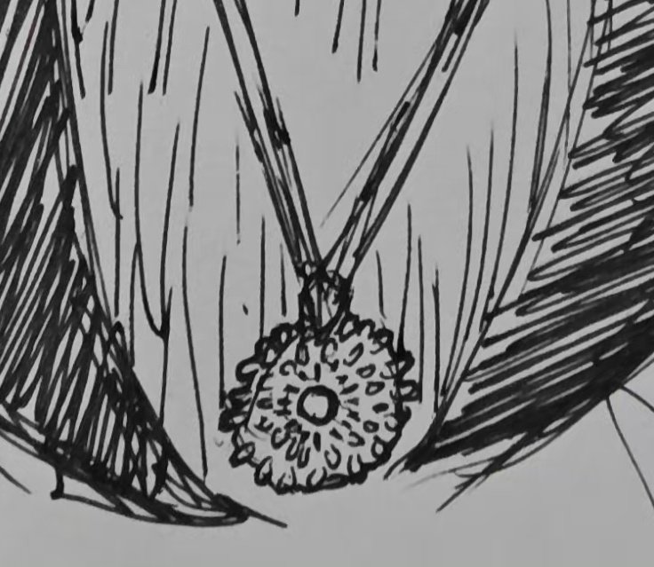 Wilford Motherloving Wadeling 💖 tweet media