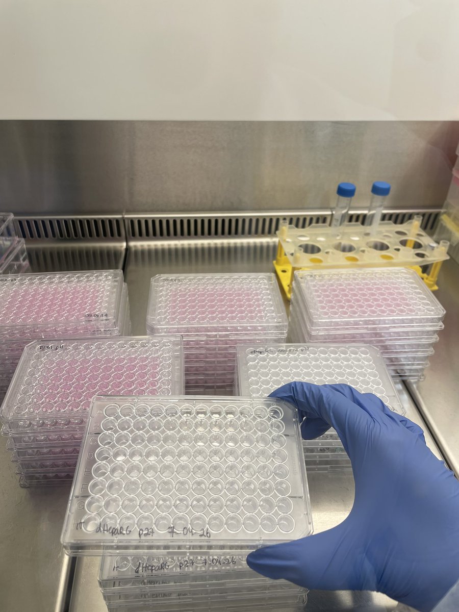 Nitescencia tweet media