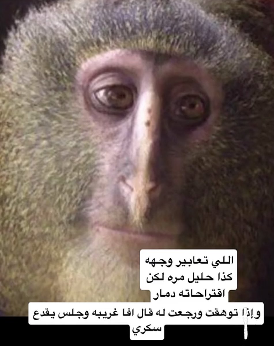 monkeyofthe's tweet photo. https://t.co/rysC6swGrt