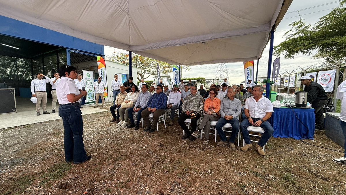 Asoportuguesa🌱 tweet media