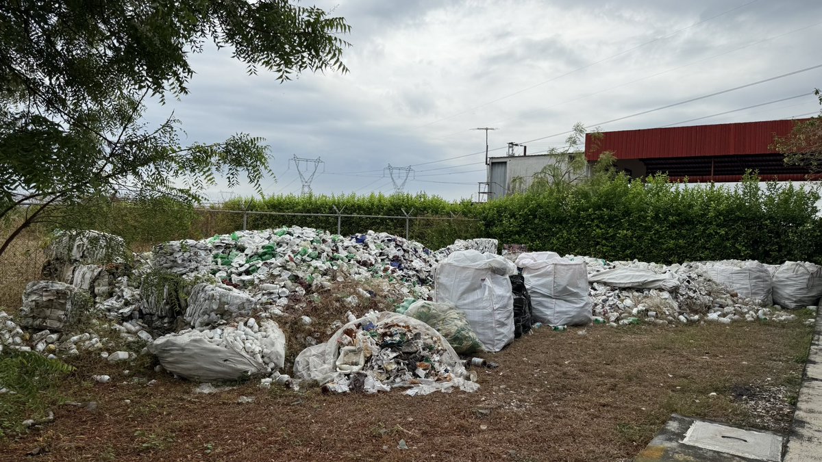 Asoportuguesa🌱 tweet media