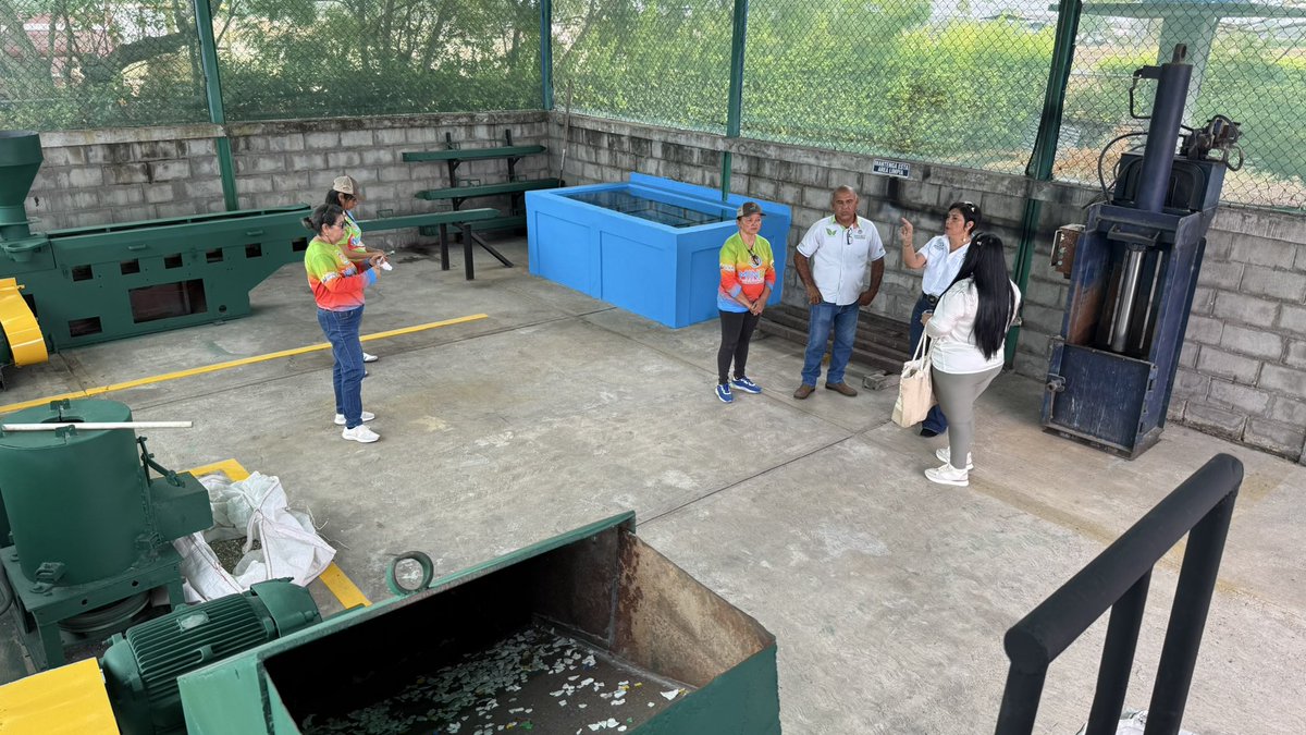 Asoportuguesa🌱 tweet media