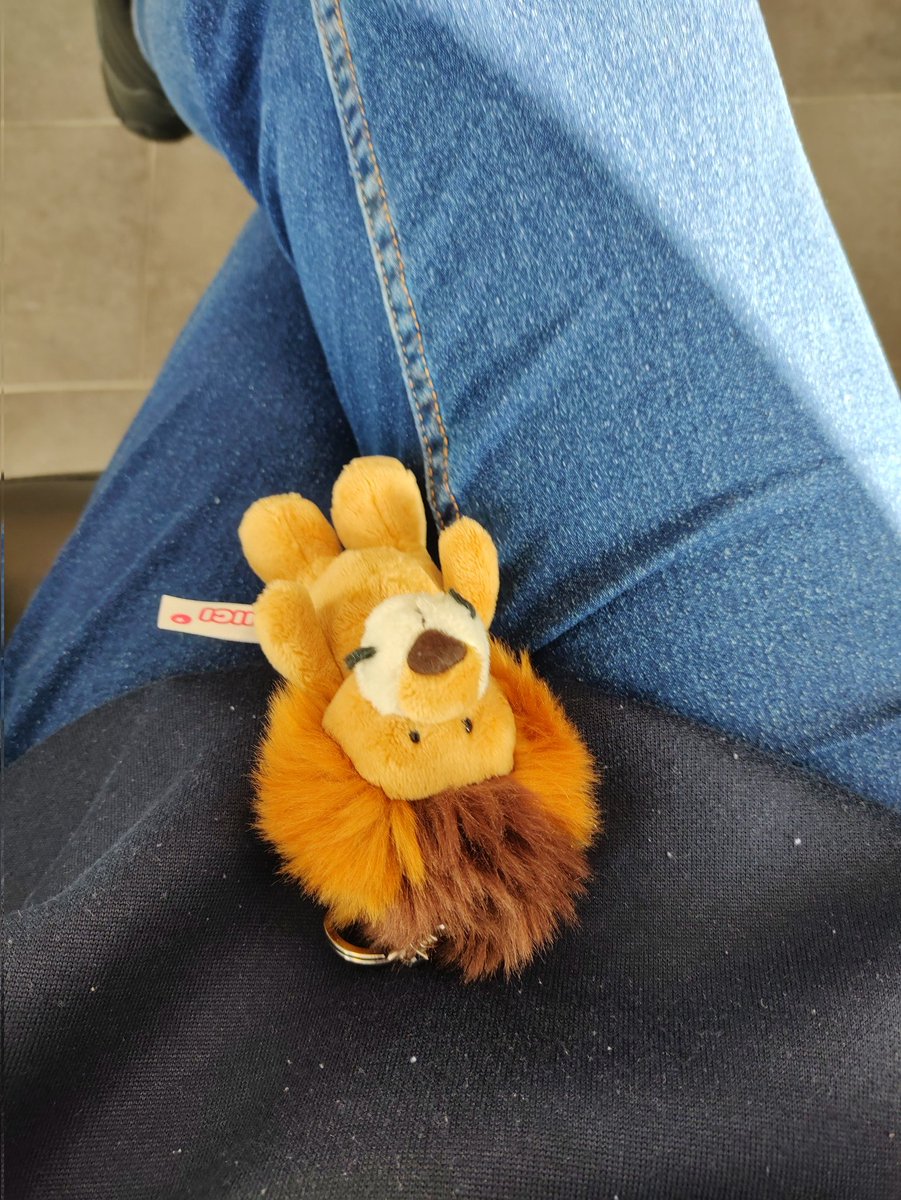 🦁 Luis: Mama muss zum Zahnarzt. Ich habe mich in die Tasche geschummelt und werde sie unterstützen.

#wazifubo