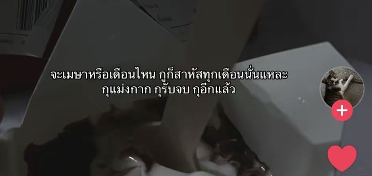 pe tweet media