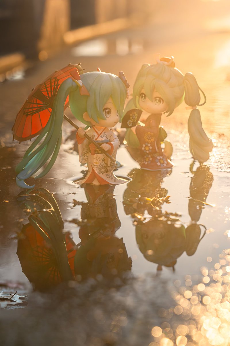 陶格曼 tweet media