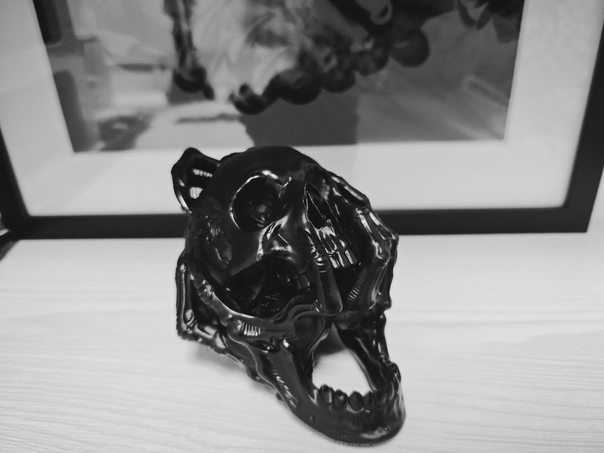 zouaiyang's tweet photo. 💀 https://t.co/4kVyrSYDyG