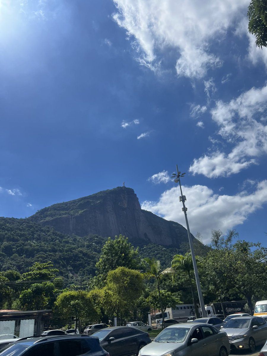 carolina tweet media