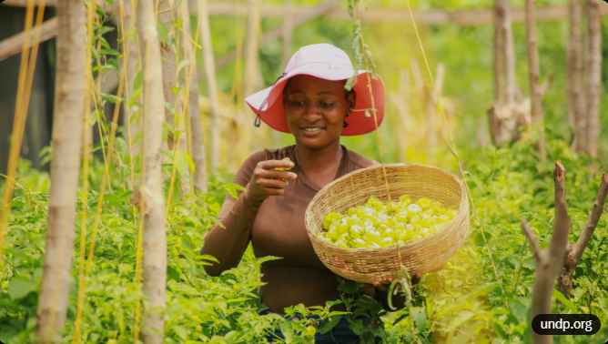 Center for Food Safety and Agricultural Research tweet media