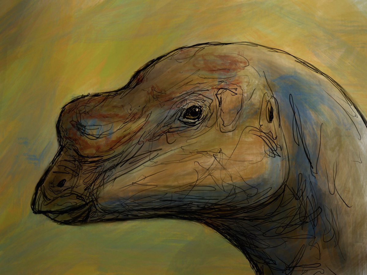 김상진 tweet media