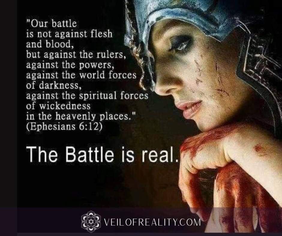 Tesla369 tweet media