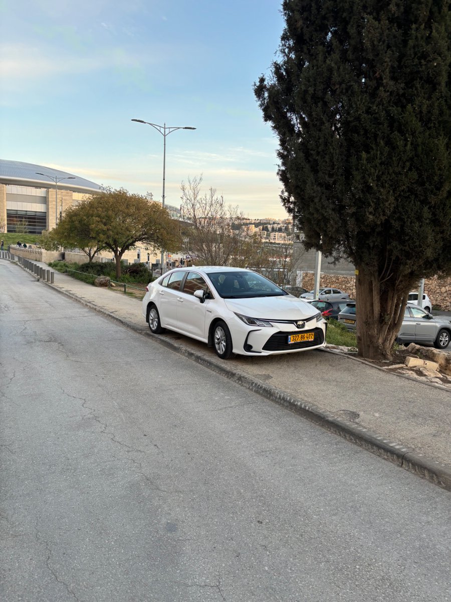 Shmuel San tweet media