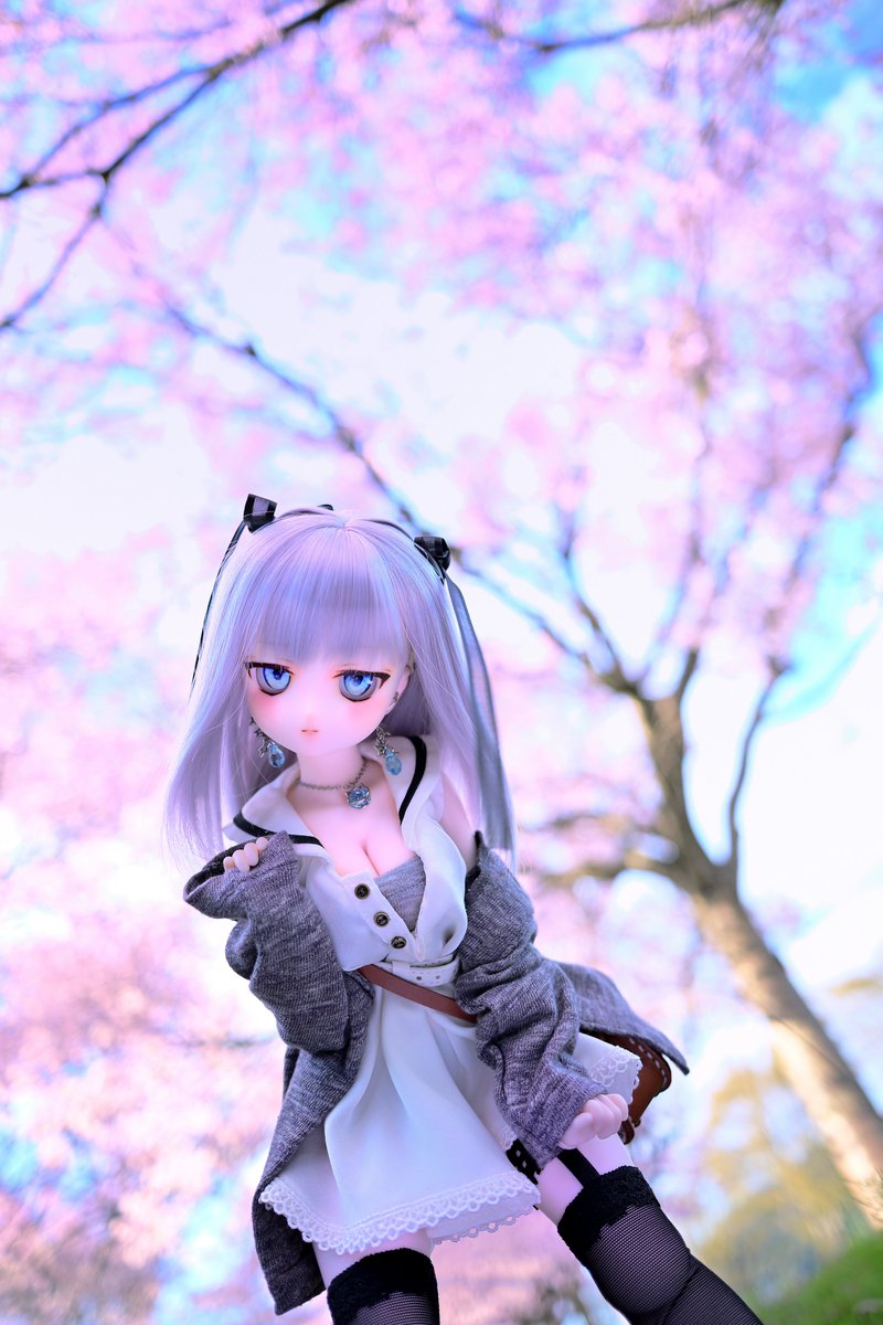 faphnia's tweet image. 桜おっぱいが撮りたくて🌸

#びぃっ子 #BorderlineToybox #ScarletAlice