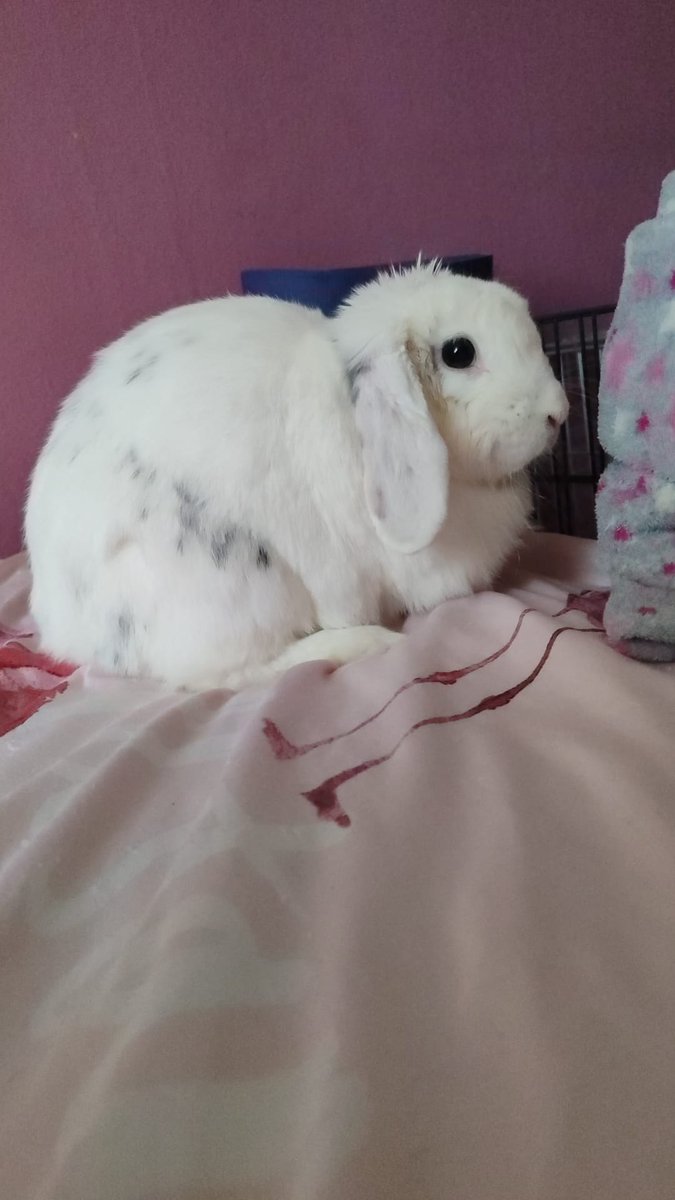 𝖏𝖊𝖓𝖘𝖔𝖓 🦇🏴🚩 tweet media