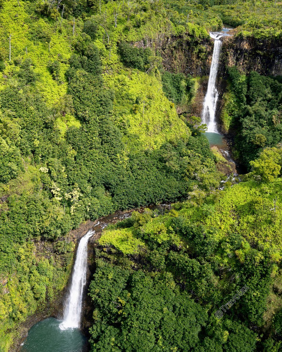 Travolax | Always Traveling tweet media