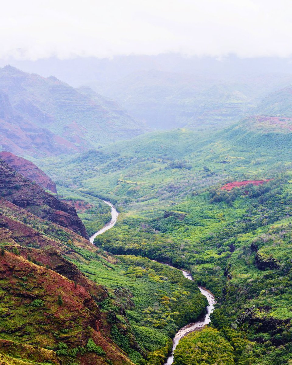 Travolax | Always Traveling tweet media