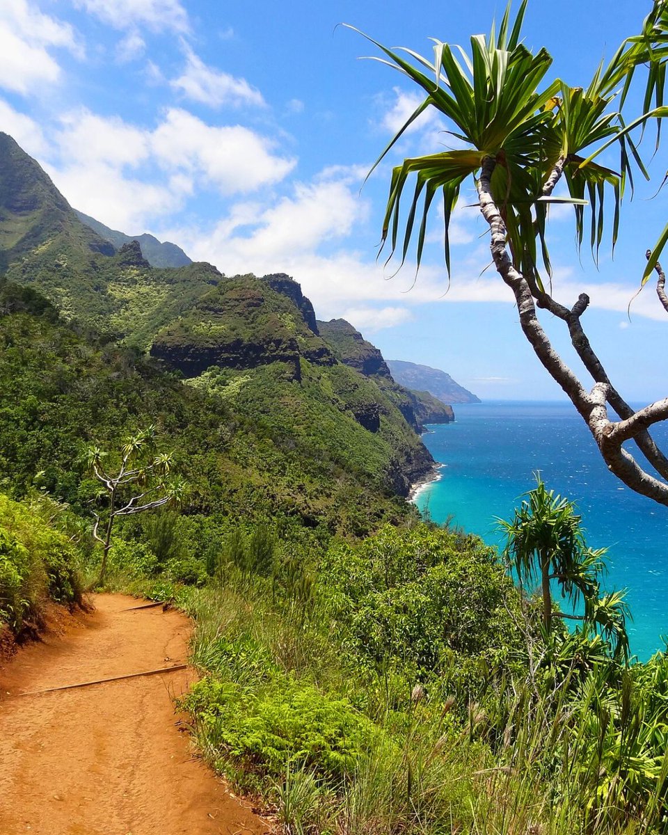 Travolax | Always Traveling tweet media