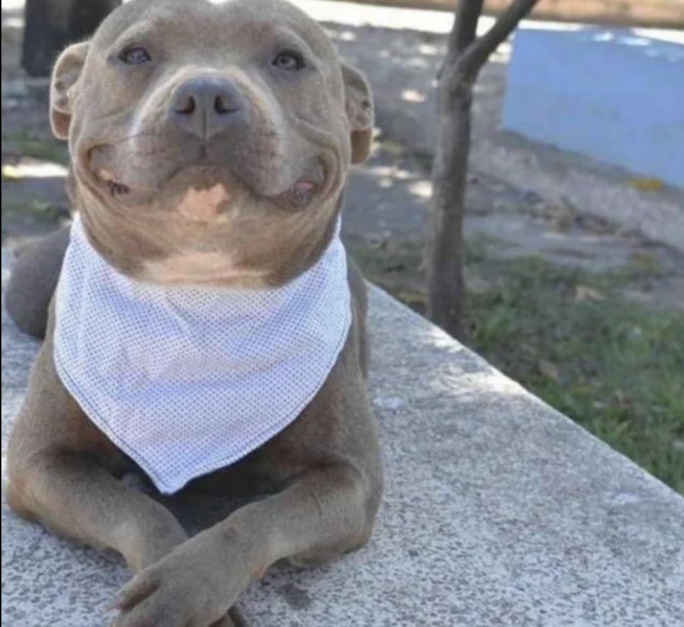 Peter Barry tweet media