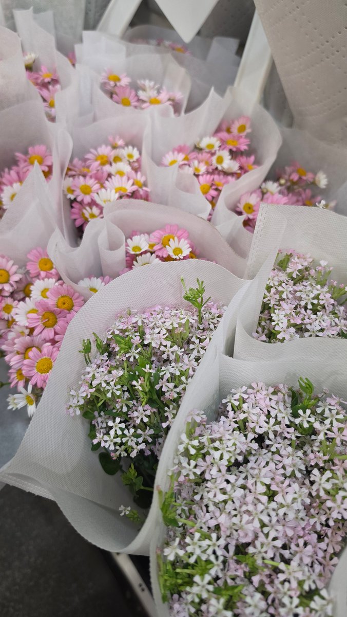 Tanytannn.officialfanth tweet media