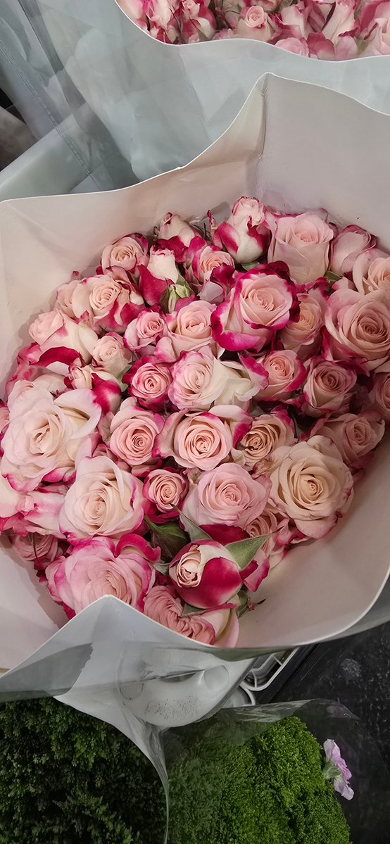 Tanytannn.officialfanth tweet media