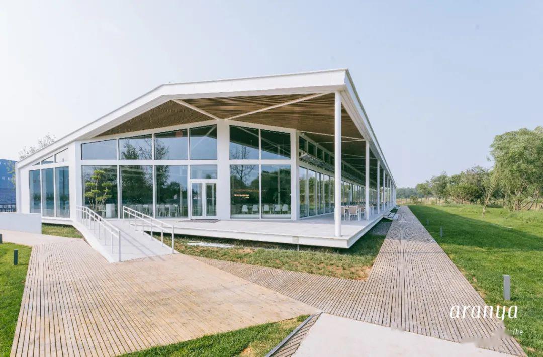 Bernardy tweet media