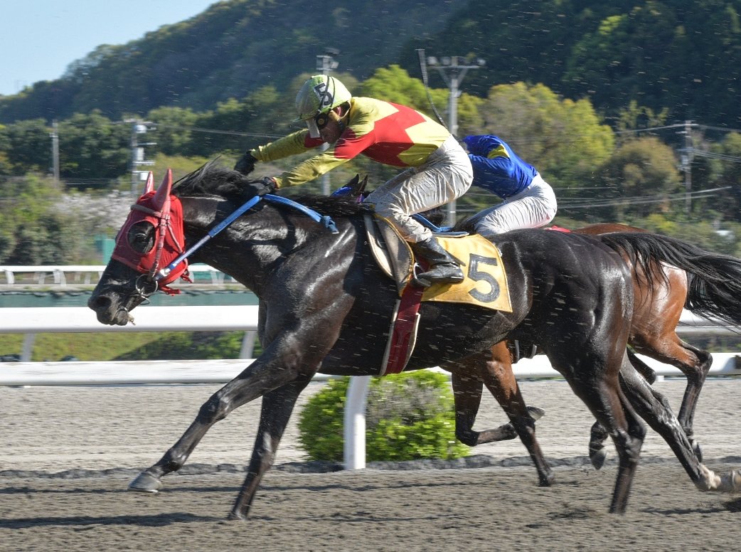 キリン tweet media