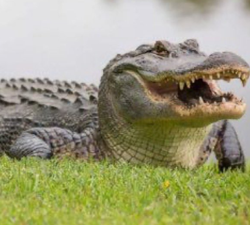 Kiko69pt tweet media