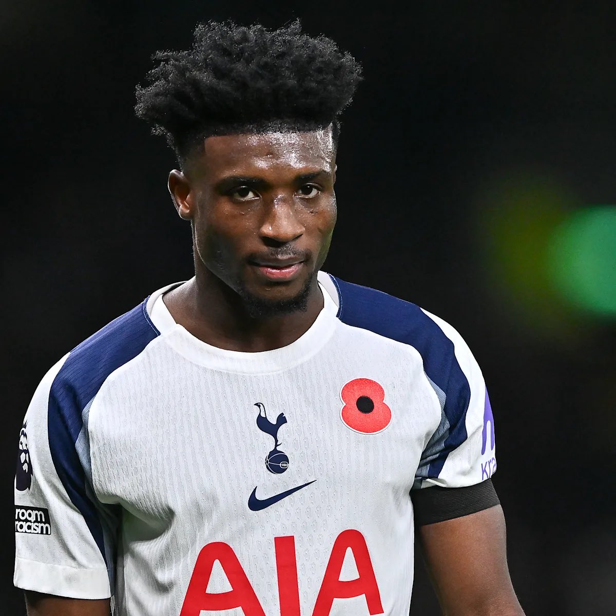 Lilywhite Rose tweet media