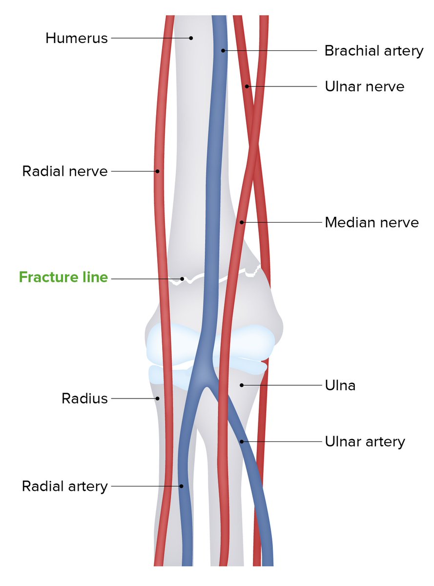 GAGpentina 300mg tweet media