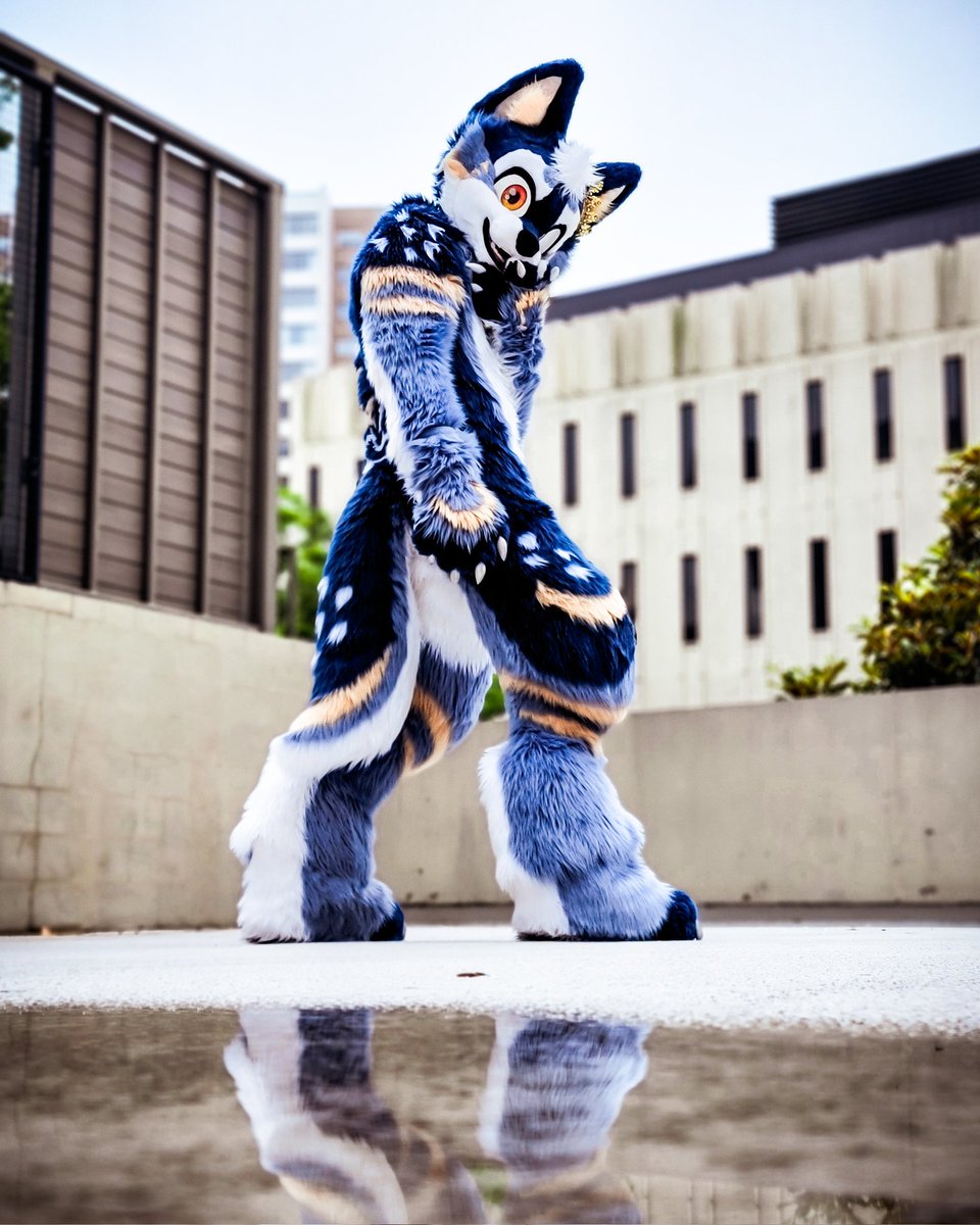 Nightzy 🌙 tweet media