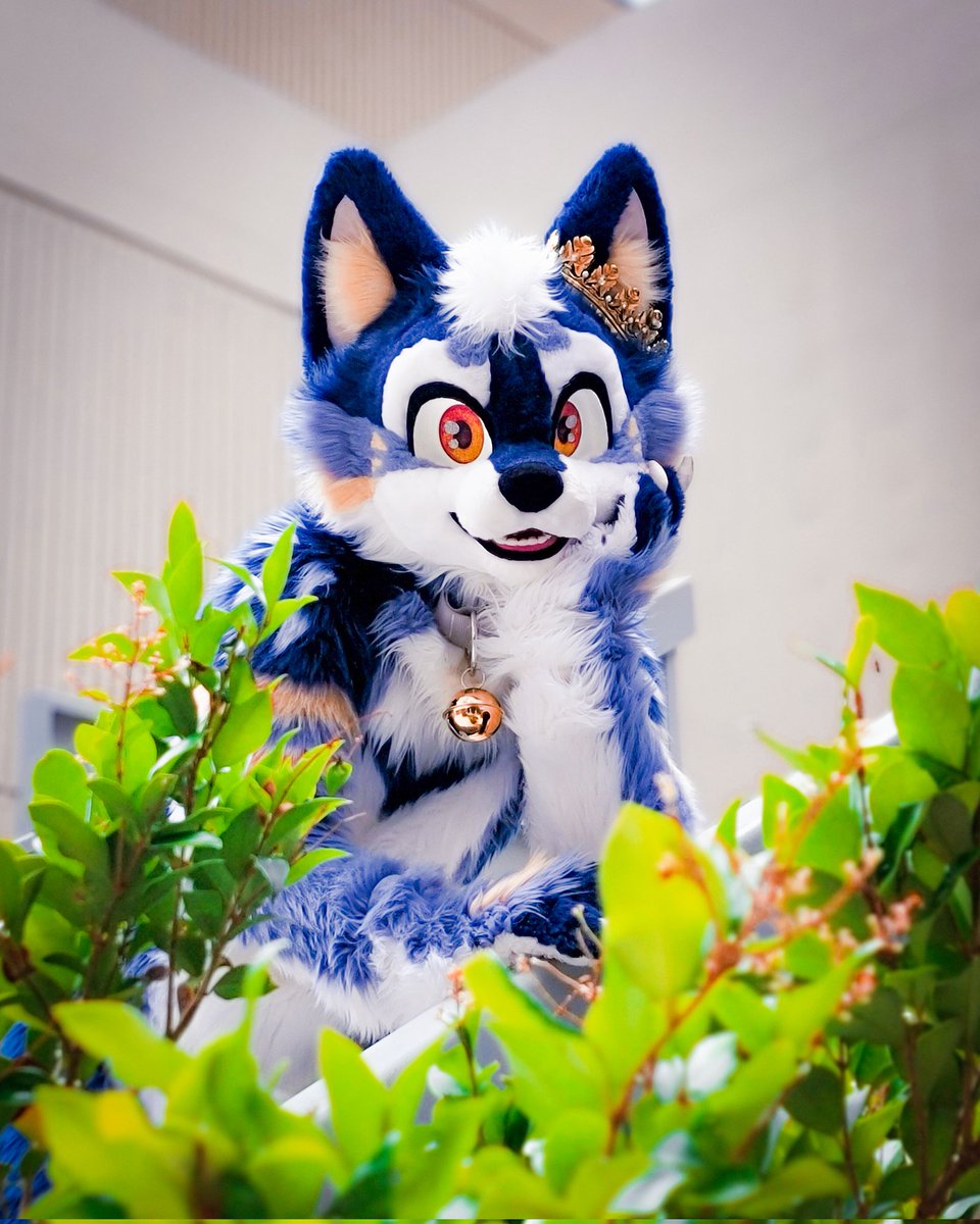 Nightzy 🌙 tweet media