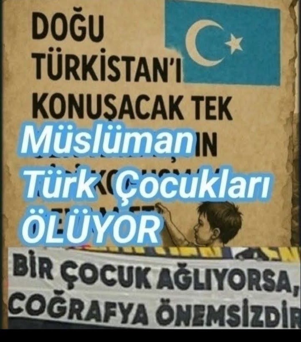 Uygur Hareketi tweet media