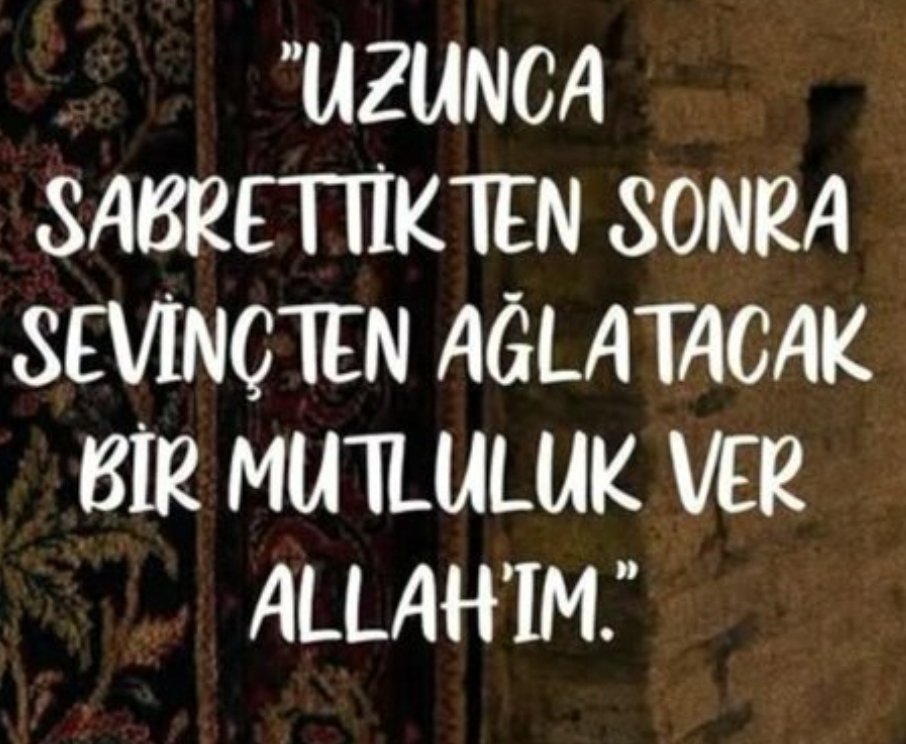 Aybüke 🇹🇷58 tweet media