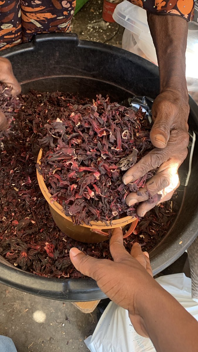 The Gifted Gift ✨️ tweet media