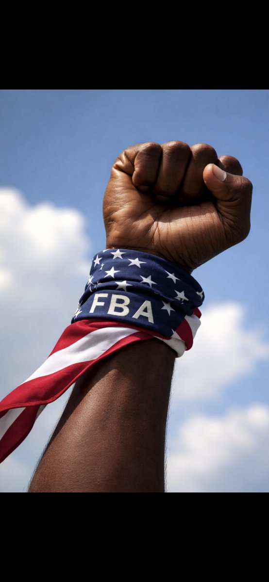 BlackAlphaNetw1's tweet image. Notice that #FBA are the most Pro-American people in this country 🇺🇸 

There seems to be a lot of people 

Tethers ✅️ 
Democrats ✅️ 
Immigrants ✅️ 

That are wishing harm on the U.S.A