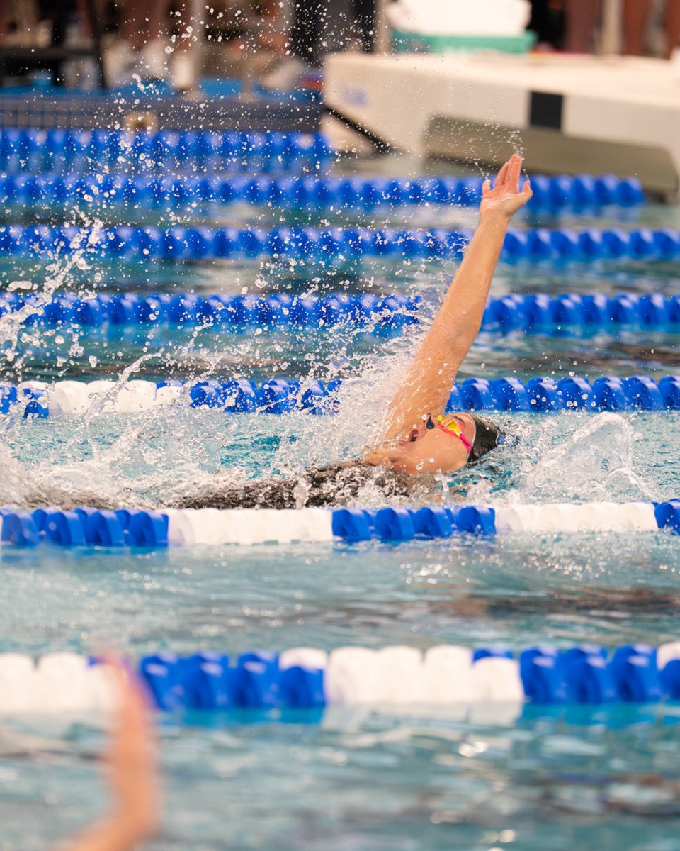 UWFSwimDive's tweet photo. Shoutout to these four on being named to the CSC Academic All-District team!

#goargos https://t.co/JKnVwvjWEE