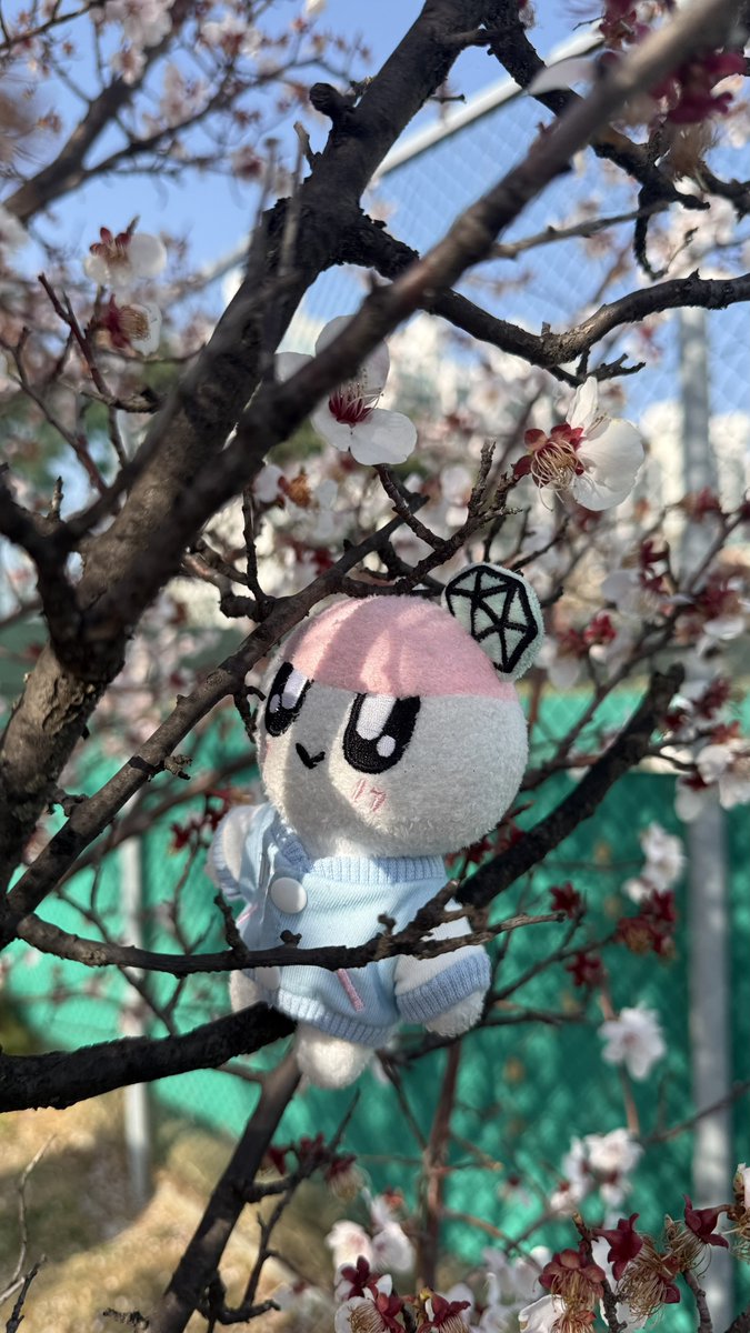 쿱정012 tweet media