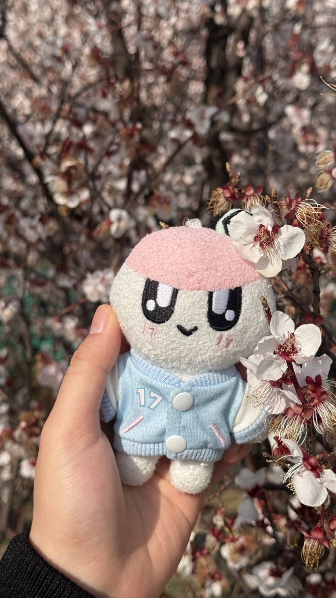 쿱정012 tweet media