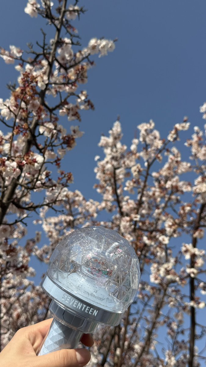 쿱정012 tweet media