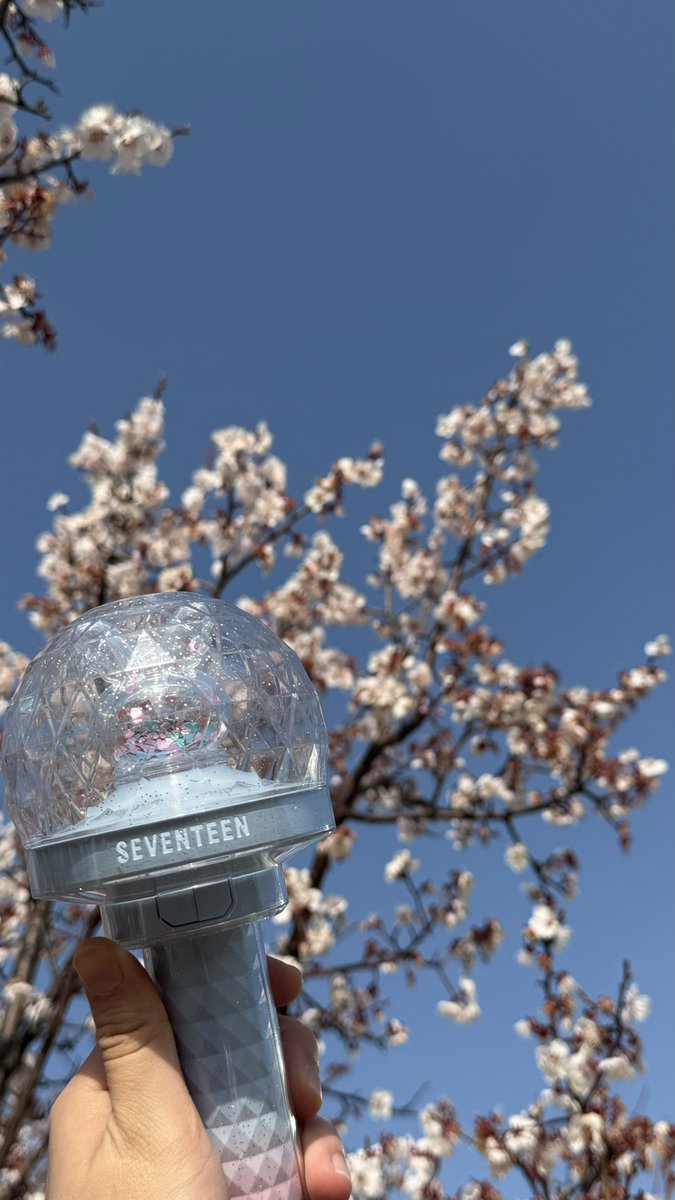 쿱정012 tweet media