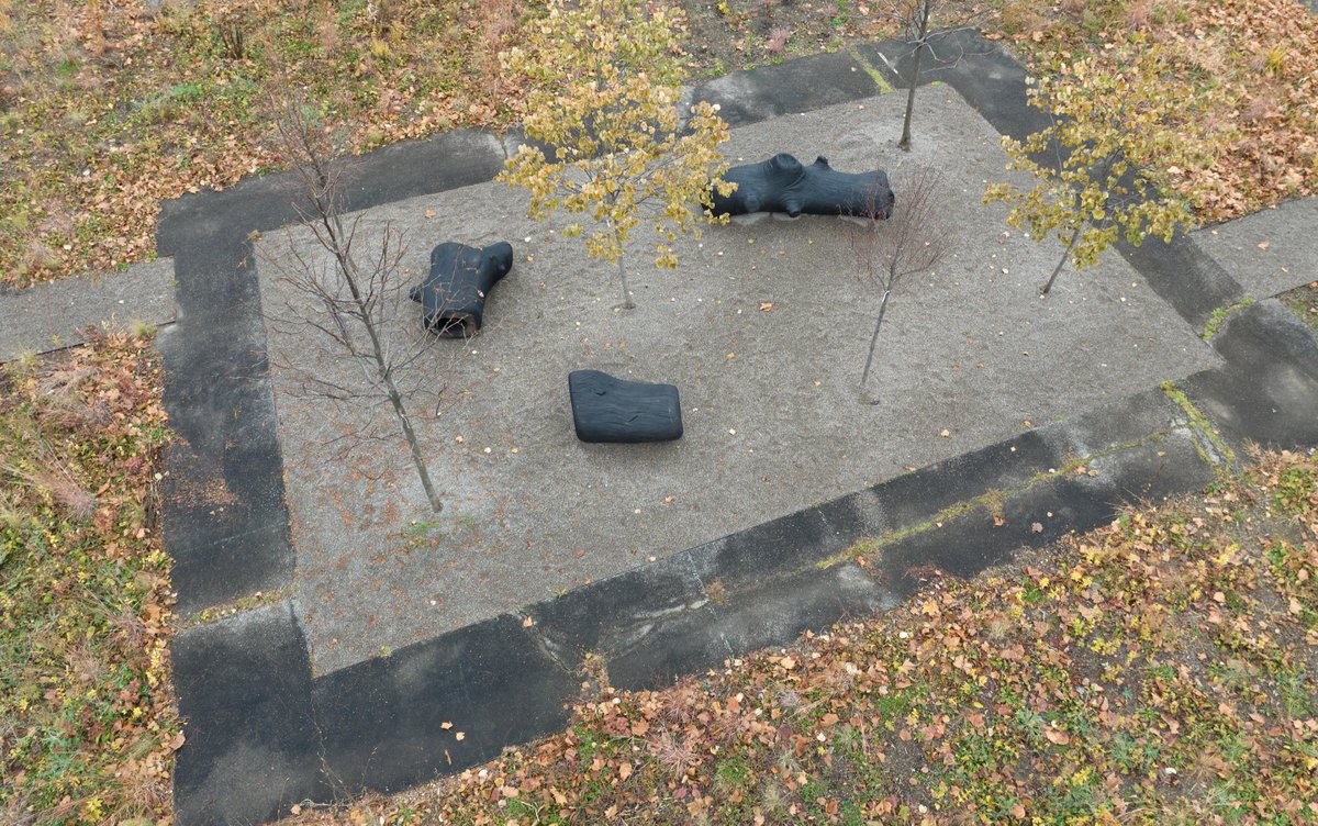 KnowltonOSU tweet media