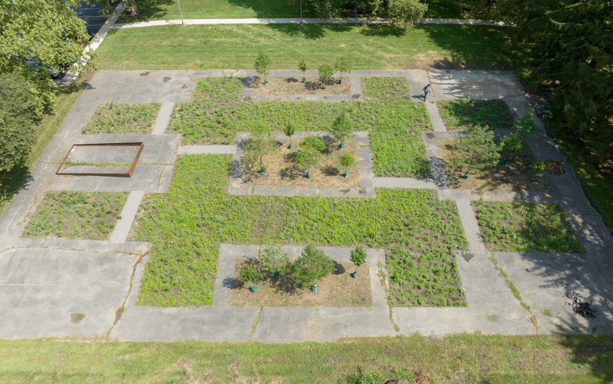 KnowltonOSU tweet media