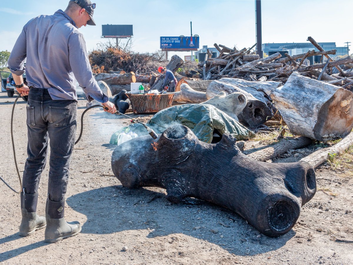 KnowltonOSU tweet media