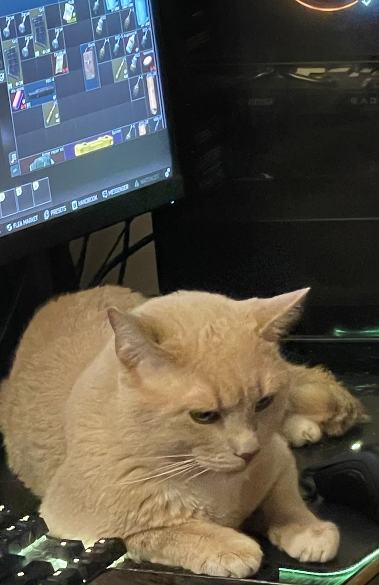 MrBubbly tweet media