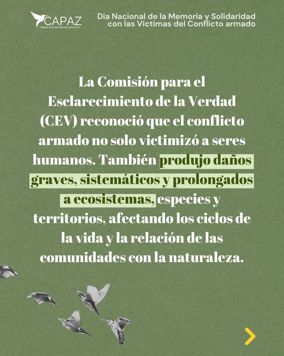 Instituto CAPAZ tweet media